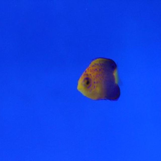 在庫の写真です！の画像