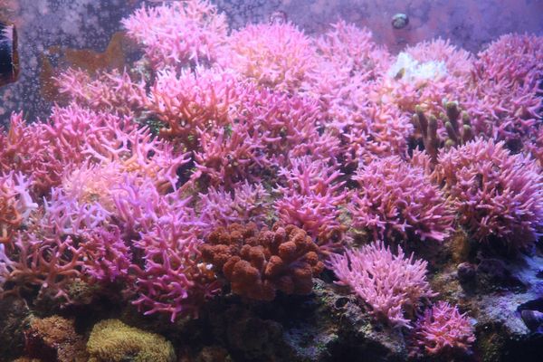 春らんまん！ | ブログ | 新着情報 | 有限会社 マリンシアター|水族館