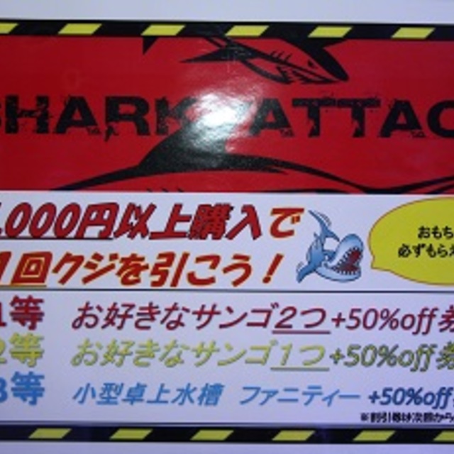 謹賀新年の画像