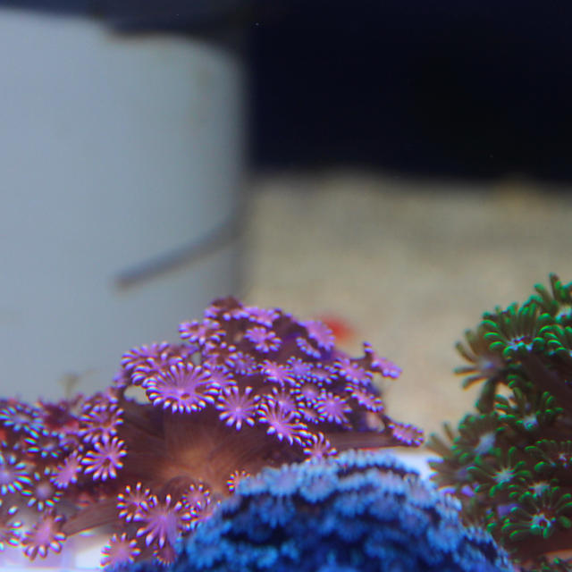 続々入荷！！の画像