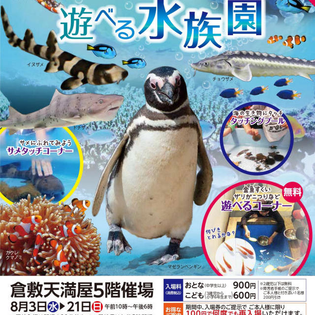 倉敷天満屋 遊べる水族園の画像