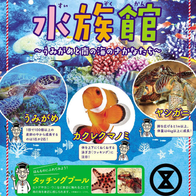 そごう西神店 なつやすみ水族館の画像