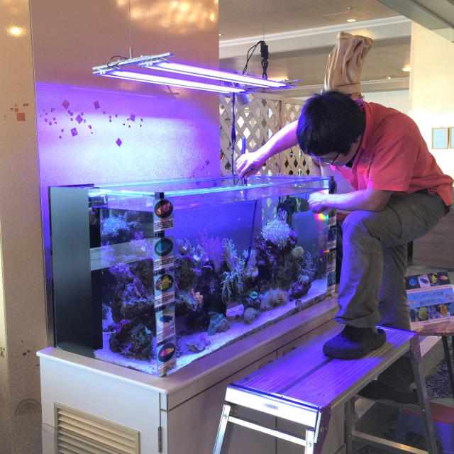 水槽メンテナンスの画像