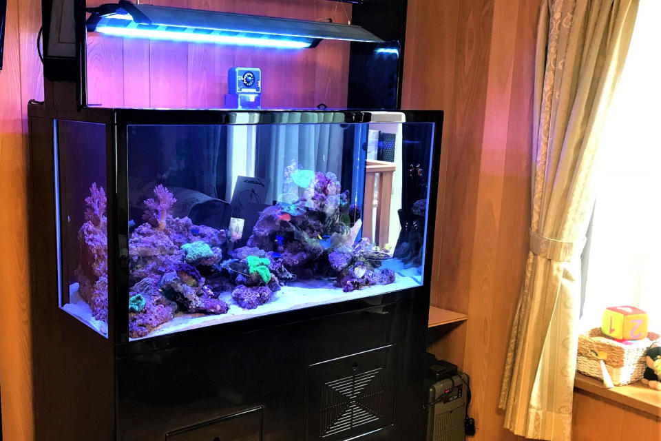 個人宅M様オーダーメイド水槽のサムネイル画像