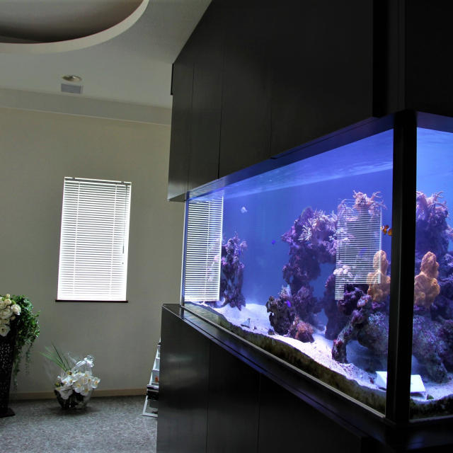 個人宅Y様オーダーメイド水槽の画像