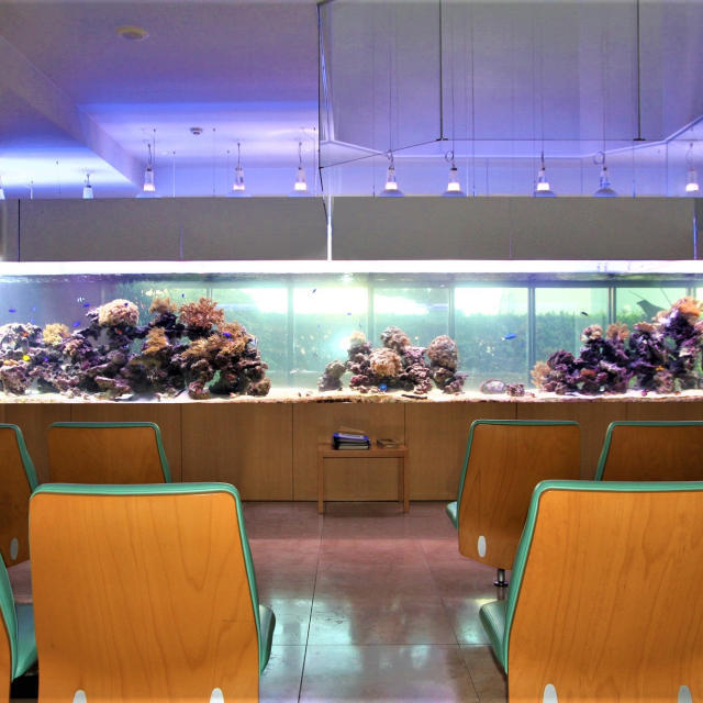 病院F様オーダーアクリル水槽の画像