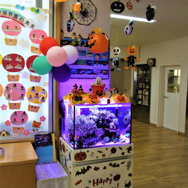 保育園H様オルカ水槽の画像