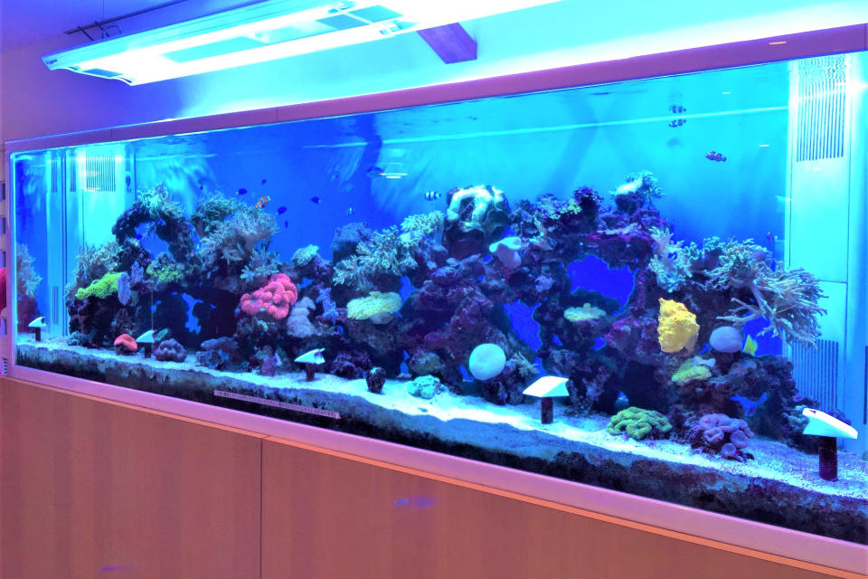 老人ホームH様オーダーメイド水槽のサムネイル画像
