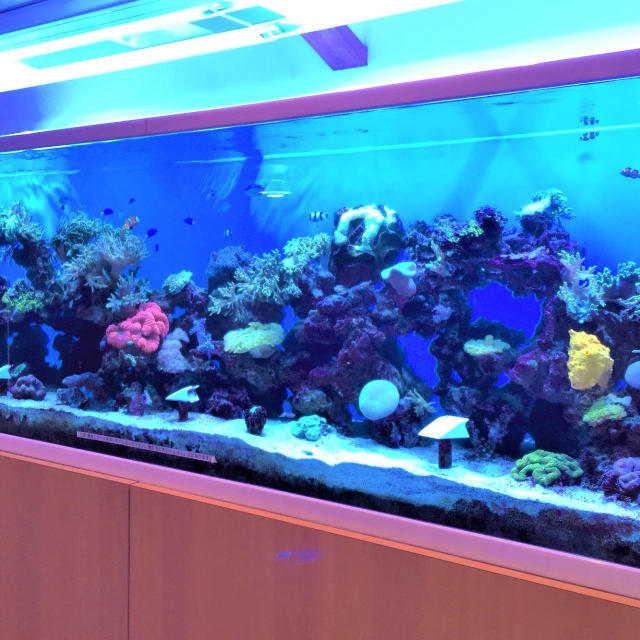 老人ホームH様オーダーメイド水槽の画像