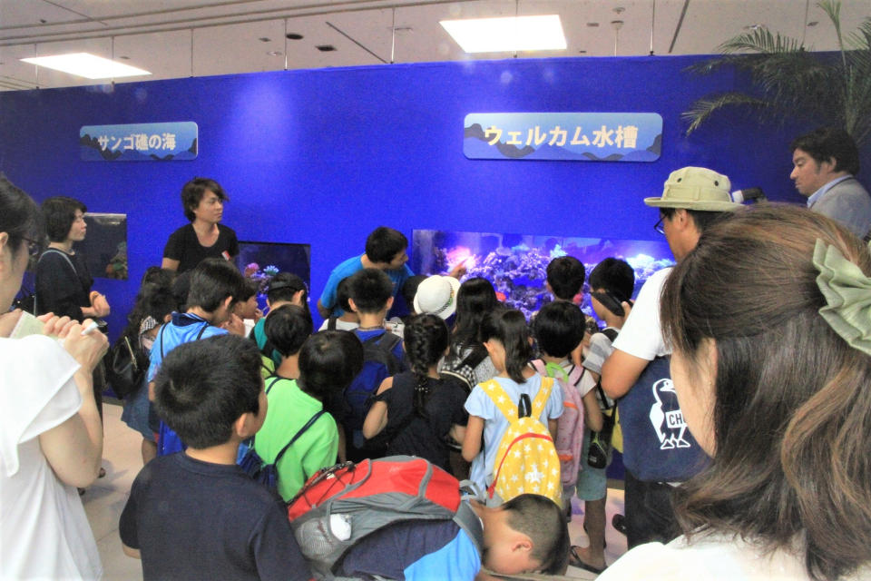水族館イベントプロデュースのサムネイル画像