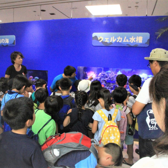 水族館イベントプロデュースの画像