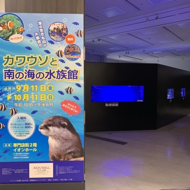 カワウソと南の海の水族館の画像
