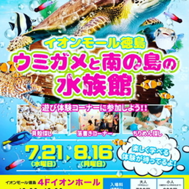 ウミガメと南の島の水族館♪の画像