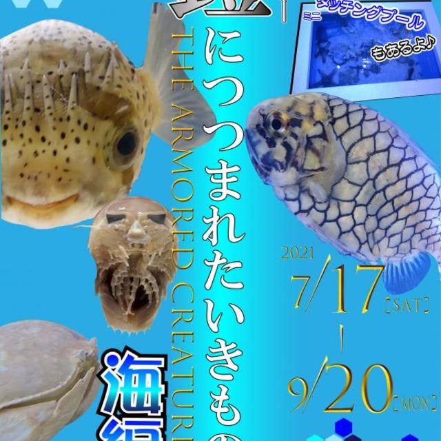 鎧(アーマー)につつまれたいきもの展の画像