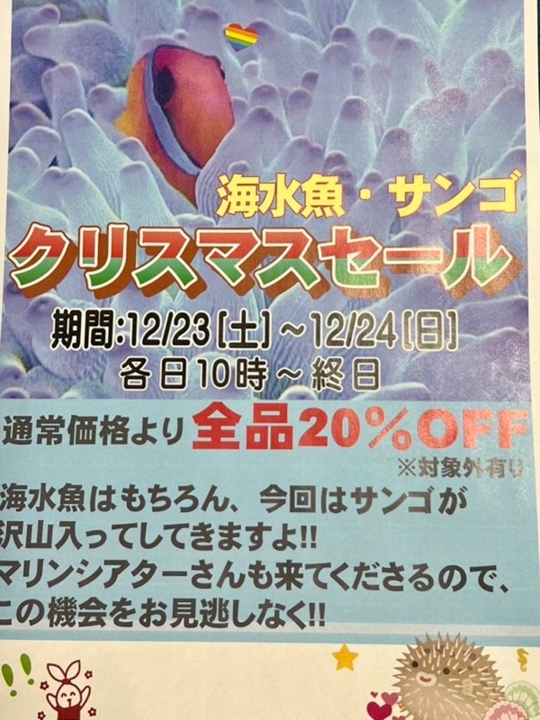 【再】クリスマスセール開催のお知らせ🌟の画像