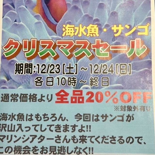 【再】クリスマスセール開催のお知らせ🌟の画像