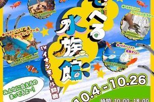 「あそべる水族館 in イオンモール鈴鹿」開催！【10/4～10/26】の画像