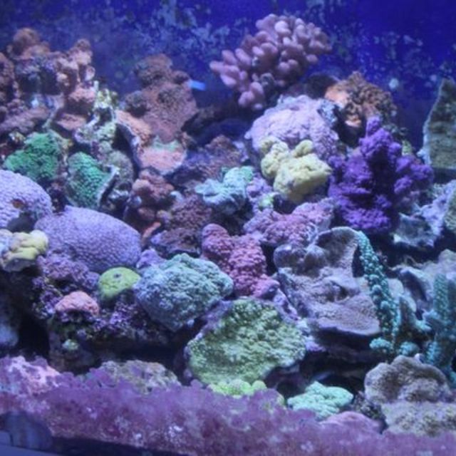 とーんが！の画像