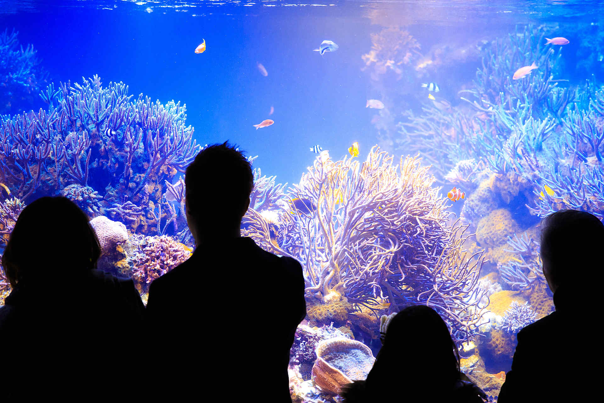 ベントプロデュースイメージ画像