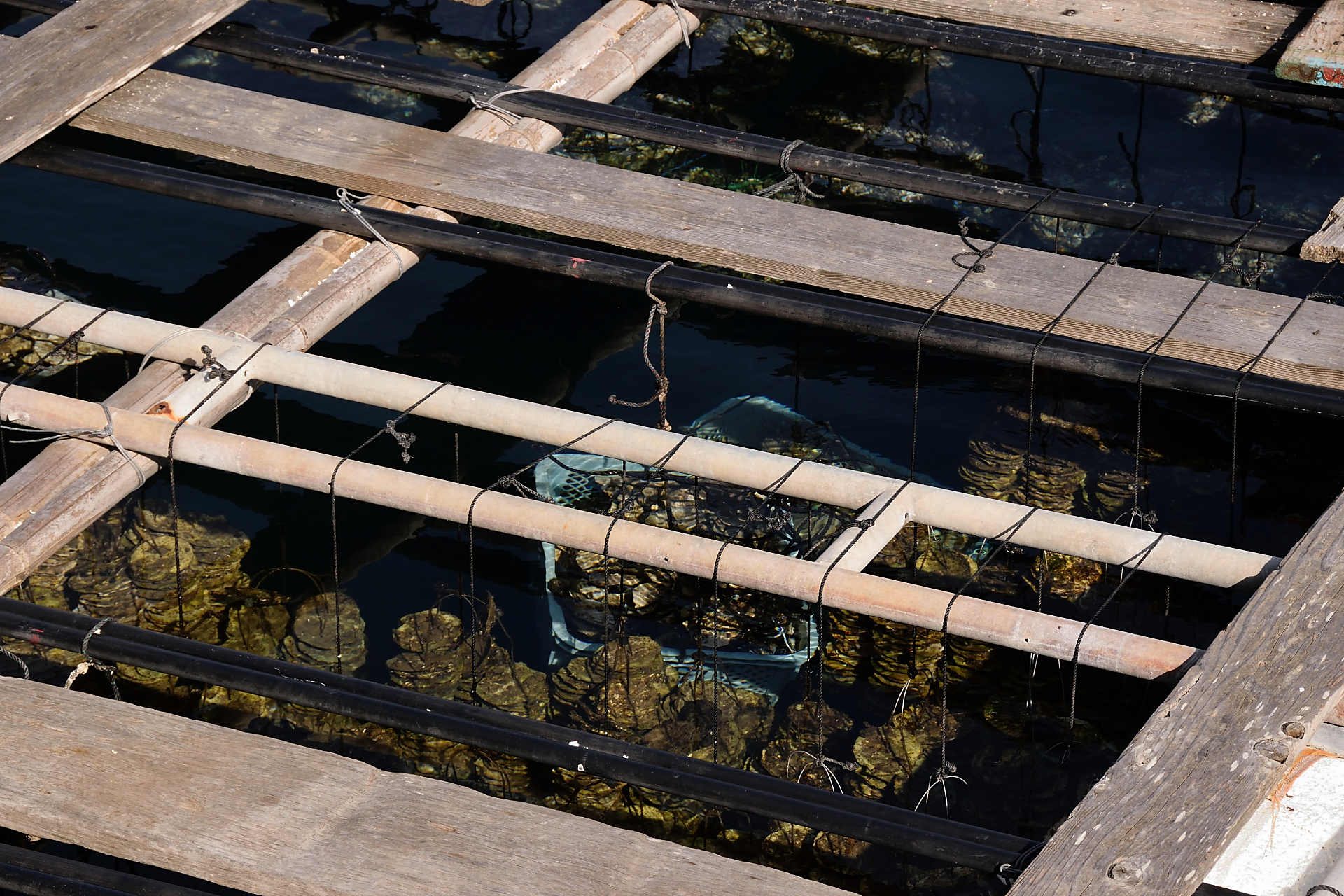 水産設備管理・設計イメージ画像3