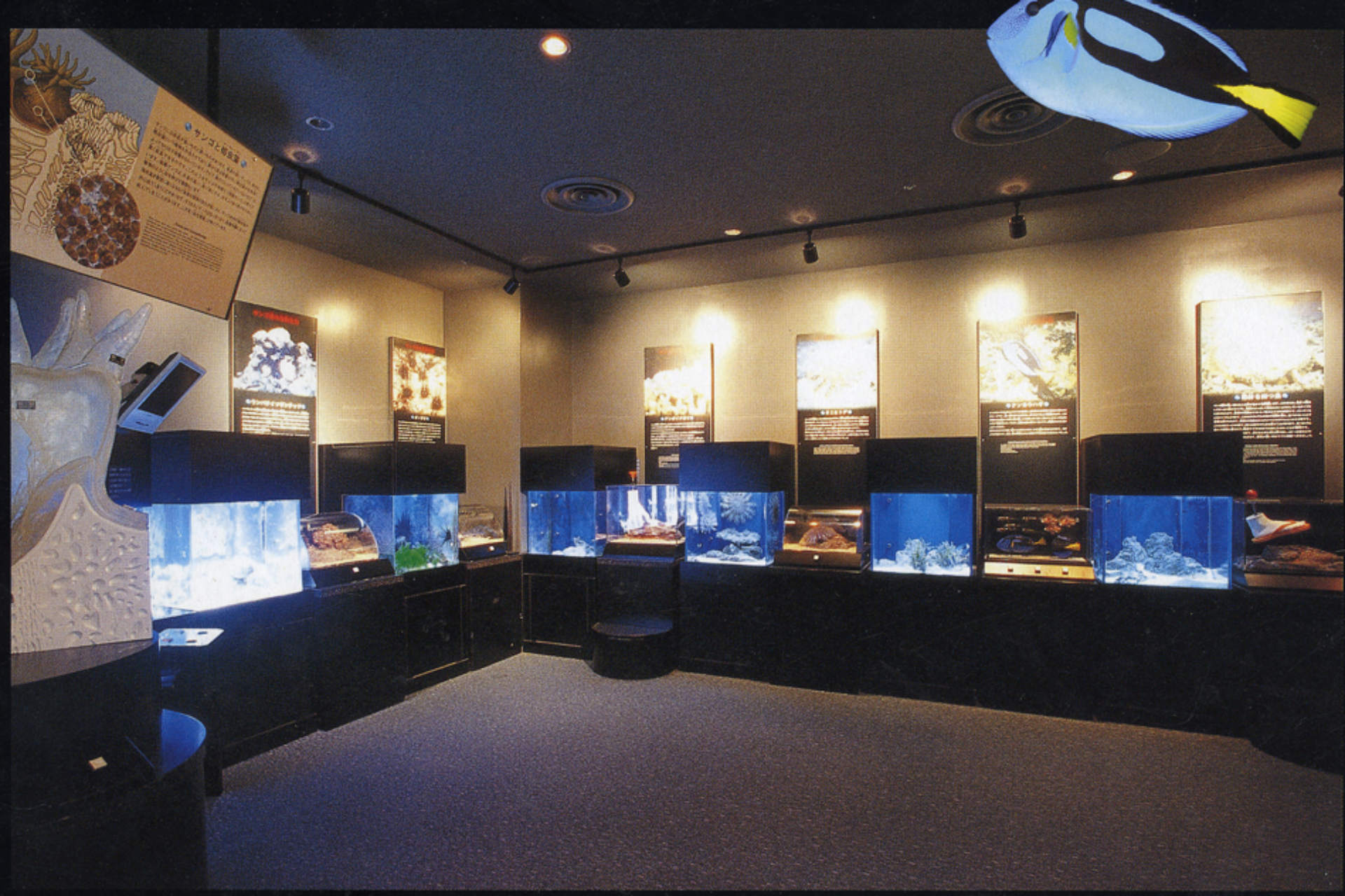 イベントプロデュース画像1