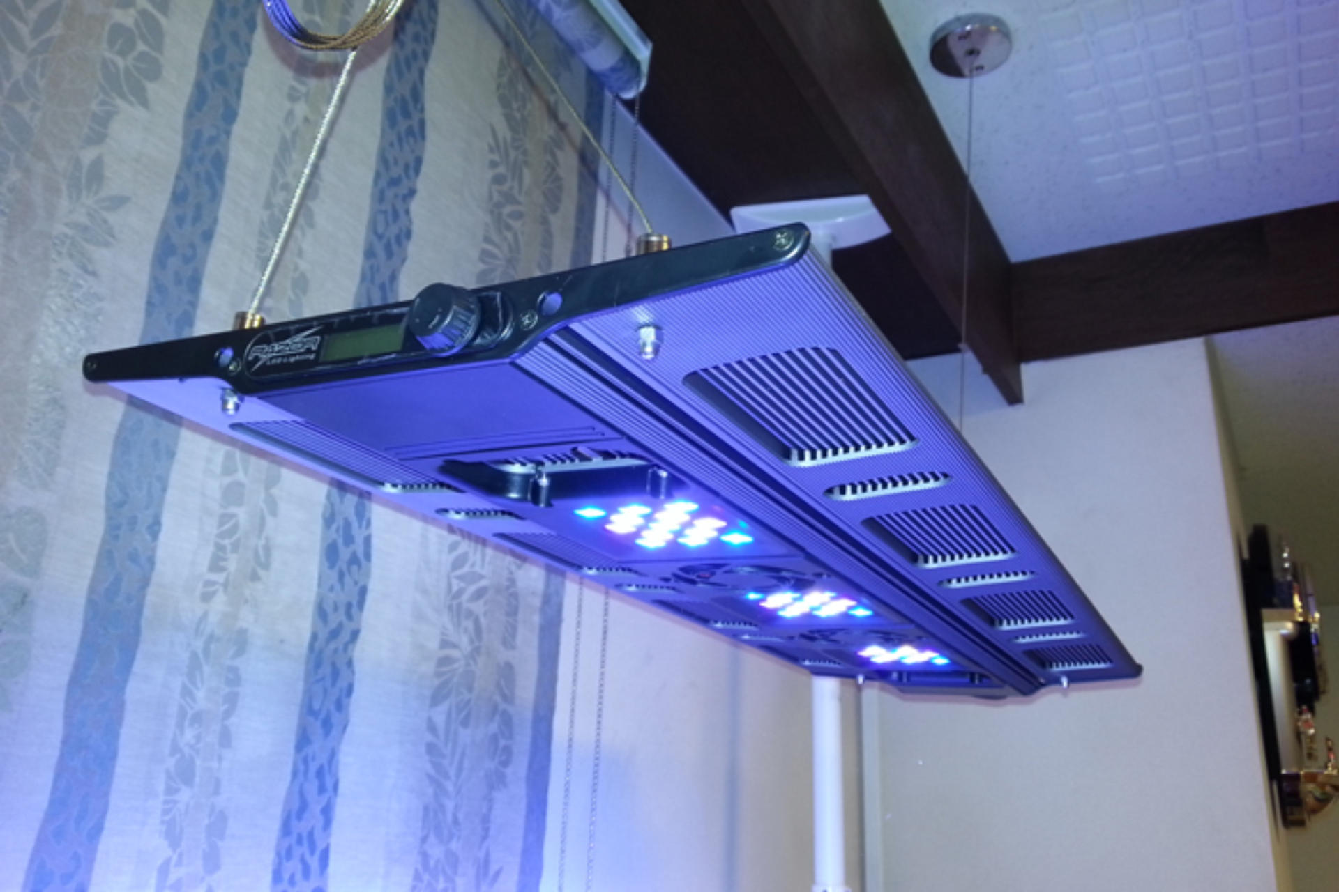 水槽レンタル・リース画像1