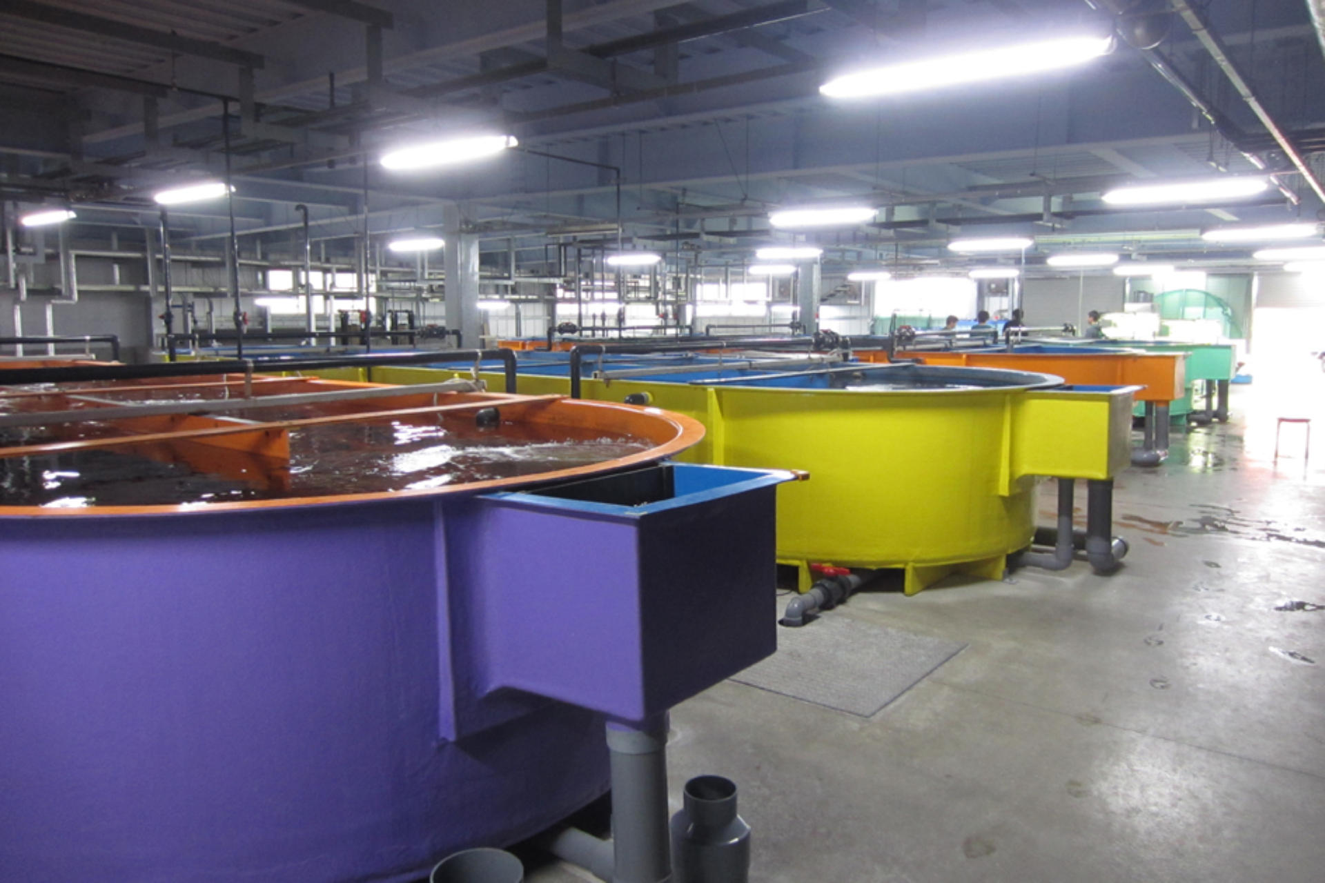 水産設備管理・設計イメージ画像1