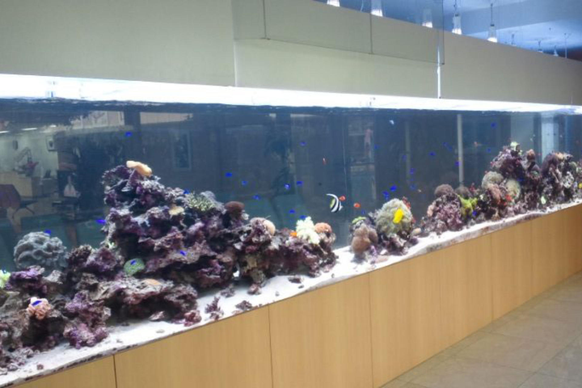 水槽メンテナンスイメージ画像2